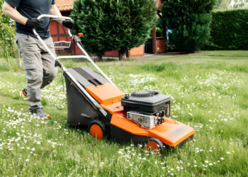 Landscaping services